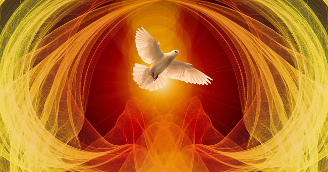 The Holy Spirit, the Church, and You!